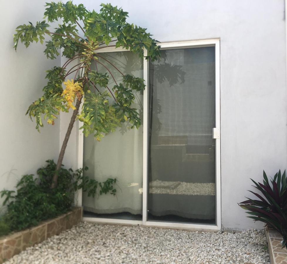 Green Lofts Cancún Eksteriør billede