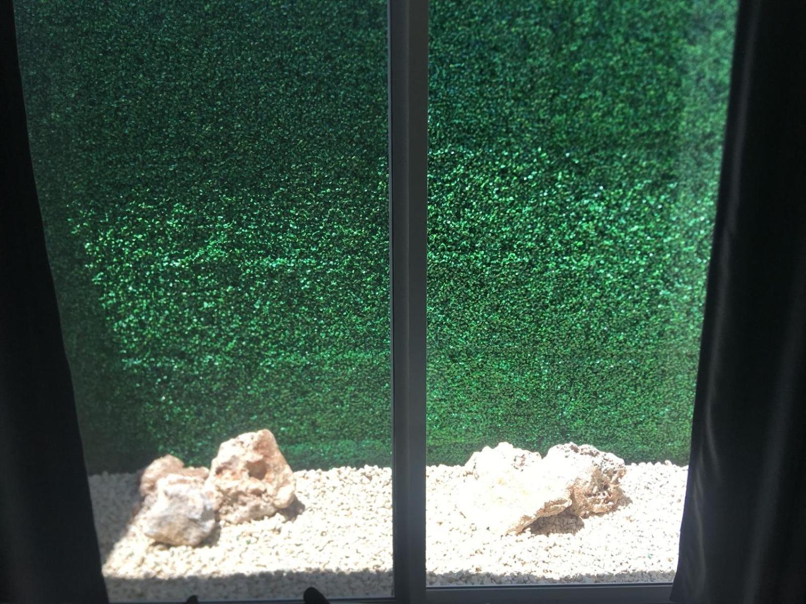 Green Lofts Cancún Eksteriør billede